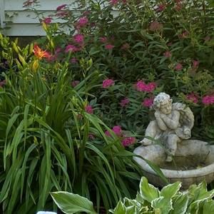 Meet your Posher, Doris